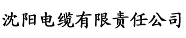 反派男主你好坏[快穿]全文电缆厂logo